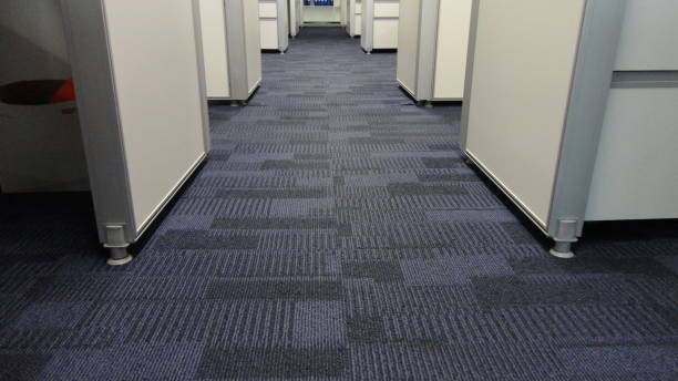 New carpet installation Livonia MI
